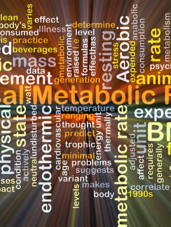 Metabolic Rate