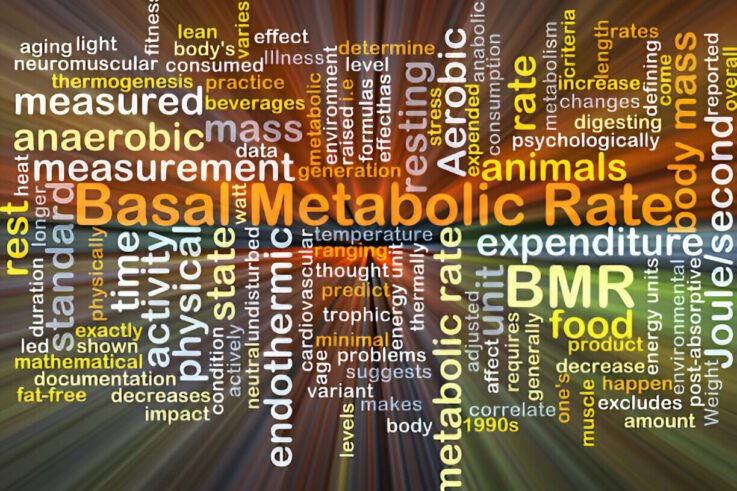 Metabolic Rate